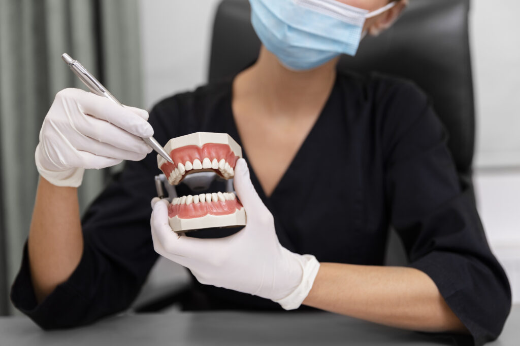 close up dentist holding teeth model